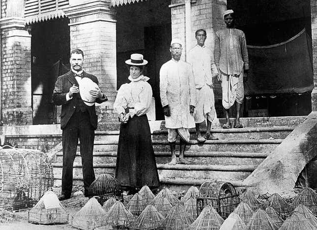 Ronald Ross at his lab in Calcutta, 1898.
