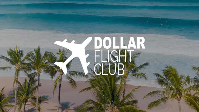 The Dollar Flight Club logo over the beaches of Hawaii.