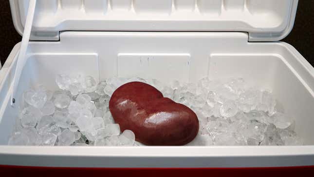 Image for article titled Kidney Freaking Out After Waking Up In Cooler Full Of Ice With Rest Of Man Missing