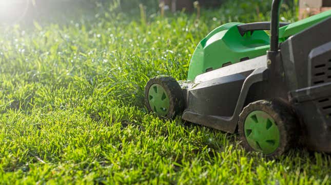 10 Ways to Grow a Greener, Healthier Lawn