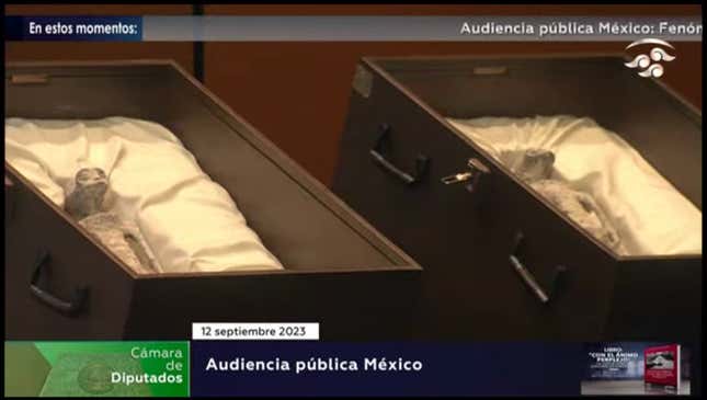 The two “alien corpses” were placed in boxes and displayed side by side. 