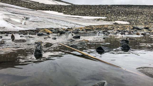 Imagen para el artículo titulado El derretimiento de las capas de hielo en Noruega revela flechas increíblemente bien conservadas