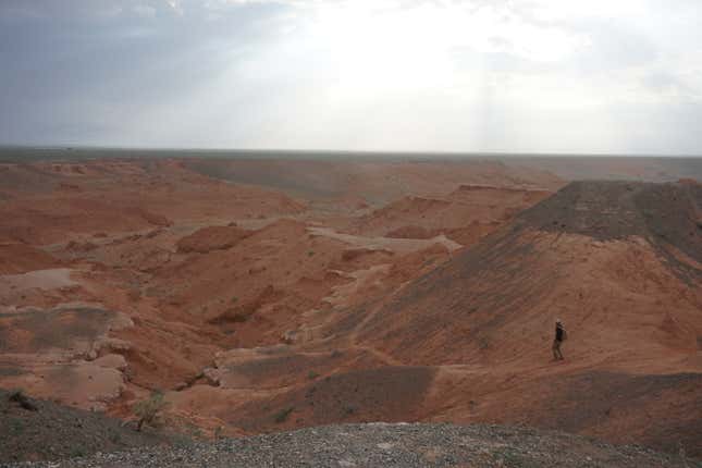 A Mongolian researcher leads the group down the Flaming Cliffs, the same region where Roy Chapman Andrews first found a nest of dinosaur eggs.