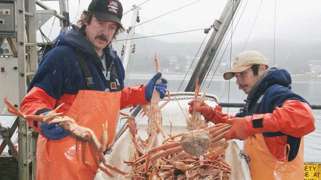 Crabbing in Alaska is a big industry—big enough to inspire television franchises and bring in hundreds of millions of dollars. But this year, in the Bering Sea, there will be no king or snow crabs harvest.