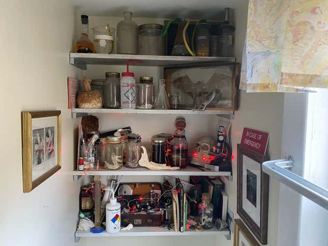 Image for article titled A Woman on Why She Keeps Her Halloween Decorations Up All Year