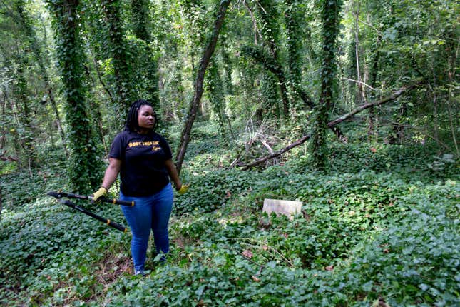 RICHMOND, VA - SEPTEMBER 17: Volunteers help to clean up and remove overgrowth in Richmond's East End cemetery, an historical black cemetery that was so neglected by the city that many of the graves have disappeared in the foliage, September 17, 2016