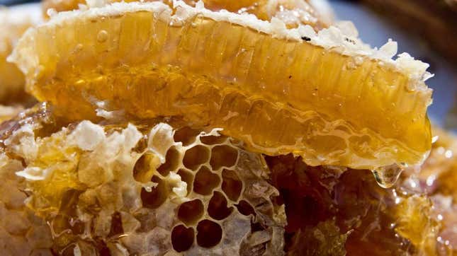 honeycombs with honey