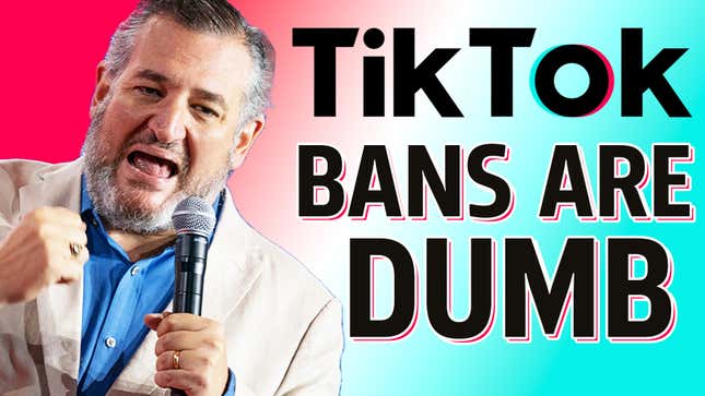 TikTok Bans Are Dumb