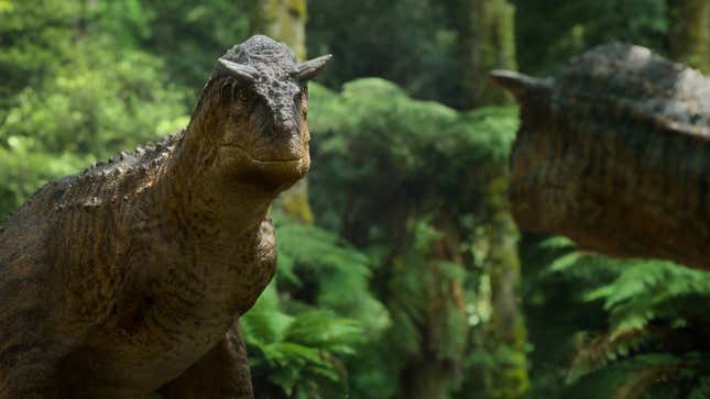 A male carnotaurus, a Cretaceous theropod, looking at a potential mate.
