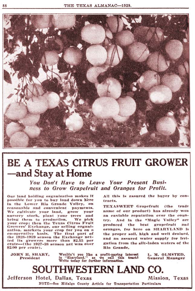 An advertisement selling land on which to grow citrus in the Lower Rio Grande Valley, published in the 1929 edition of the Texas Almanac.