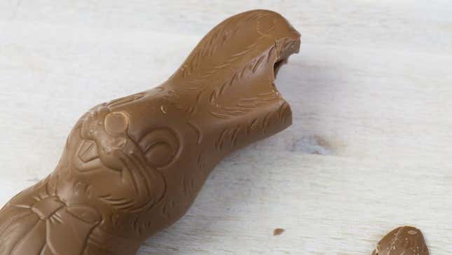 Chocolate bunny for Easter