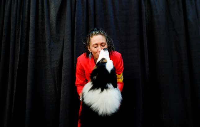 Image for article titled King’s realm: Behind the scenes at the Westminster Dog Show