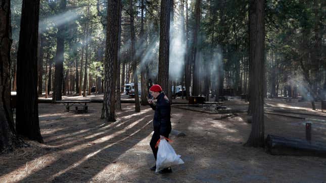 Trash collection in Yosemite National Park during a government shutdown in 2019. 