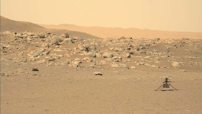 Imagen para el artículo titulado La NASA pierde el contacto con el helicóptero Ingenuity sobre Marte
