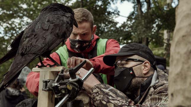 eggers and a crew member working with a black bird