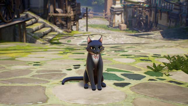 Zareh the black cat stands on a stone street in Tales of Arise