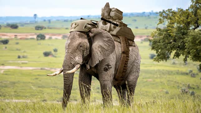 Image for article titled Report: Majority Of Americans Would Support A New War If There Were Elephants Involved