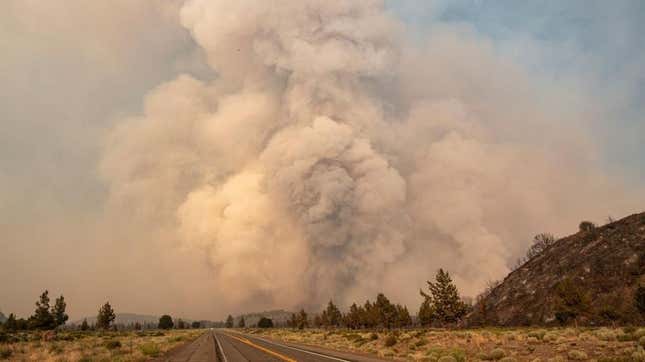 A huge ash plume rises into the sky as the Lava fire explodes in Weed, California on July 1, 2021.