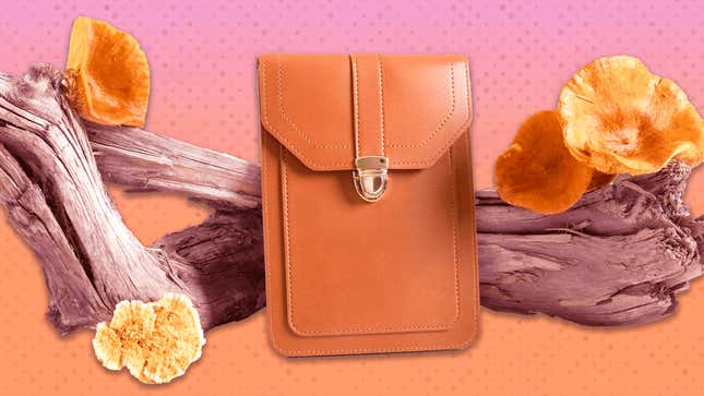 Mushroom leather: Fungi saves fashion