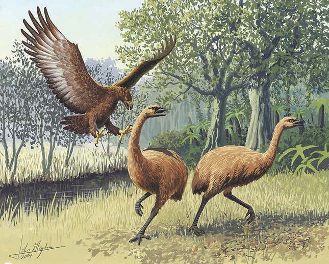 Two moa flee a Haast’s eagle.