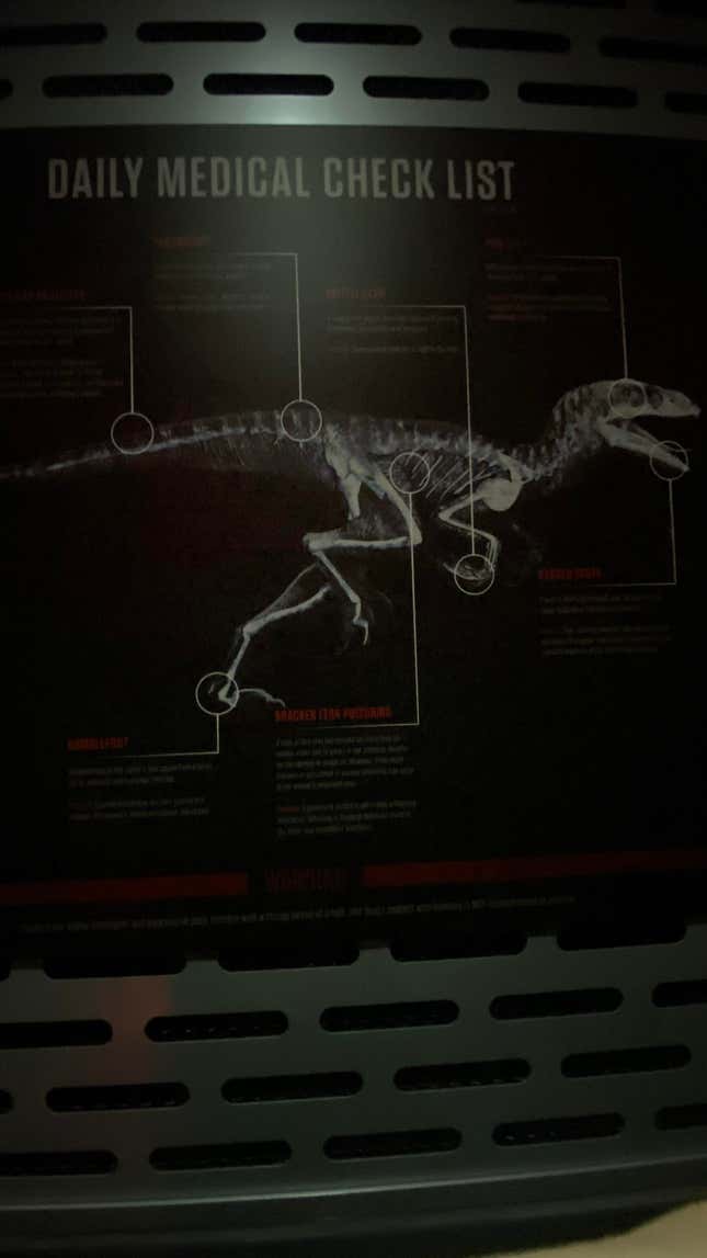 x-ray of a velociraptor