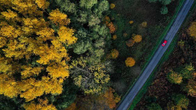 An aerial view shows a car driving on a street through an autumnal forest.