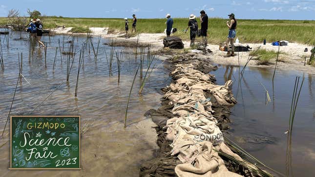 Glass Half Full team adds sand made from recycled glass to a marsh shoreline.