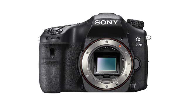 Image for article titled Sony Drops Its Remaining DSLR Cameras as it Goes Full Mirrorless