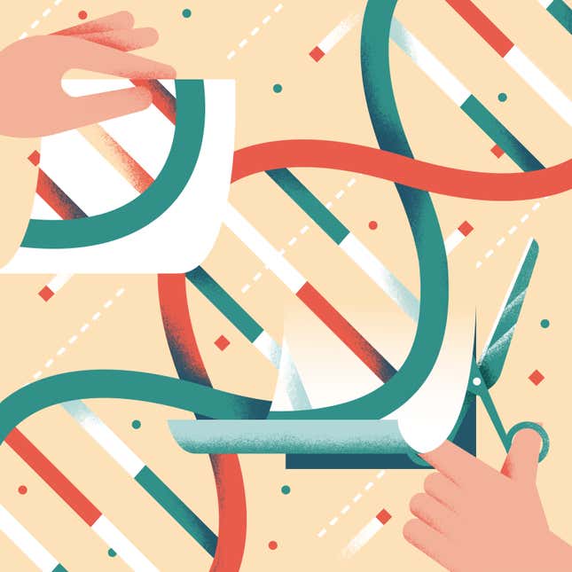 Image for article titled The people, places, and things driving the gene-editing revolution
