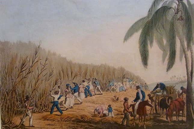 Slaves working in the cane fields.
