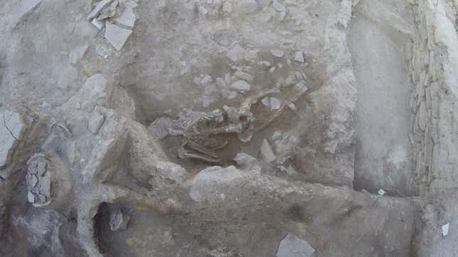 A human skeleton lies in sediment in the ruins of a settlement in what's now Turkey.