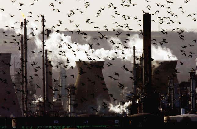 Birds fly past Grangemouth Oil Refinery