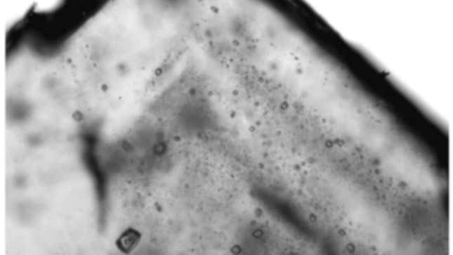 Imagen para el artículo titulado Descubren microorganismos en sal de roca de hace 830 millones de años, y podrían estar vivos