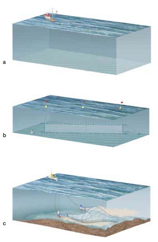 Longlines (a), gillnets (b) and trawls (c).