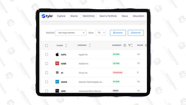 Possibly Make Money With a Tykr Stock Screener Lifetime Subscription for $100