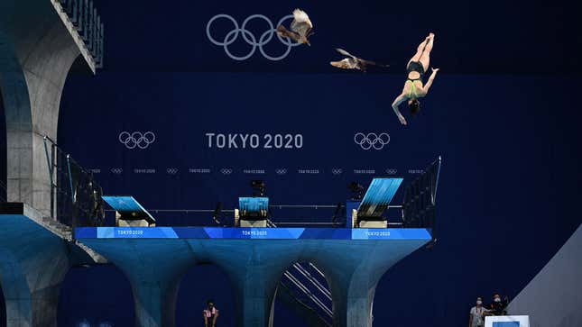 Image for article titled Olympic Divers Tormented By Hawks That Built Nest On Nearby Platform
