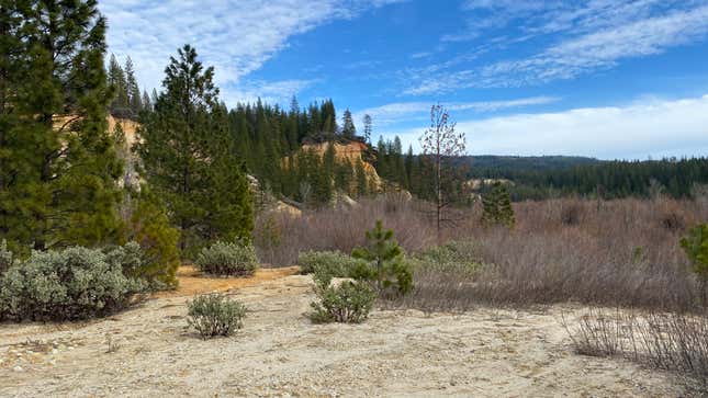 Since 1965, Malakoff Diggins, once the state’s largest hydraulic mine about 45 minutes outside of Nevada City, has been a state historic park. Today, visitors can walk around what remains of the mining pit. Since mining stopped in the 19th century, plants have started to regrow in parts of the pit and along its steep slopes.