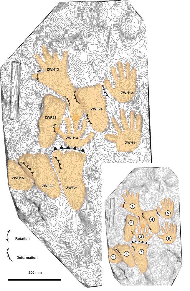 Image showing the positions of each print.