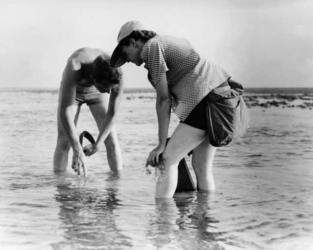 Author Rachel Carson conducting marine biology research in 1952.