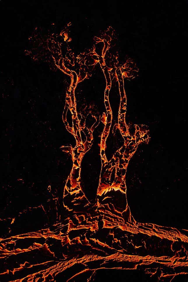 Imagen para el artículo titulado Las mejores fotografías de la naturaleza de 2022, según Nature TTL