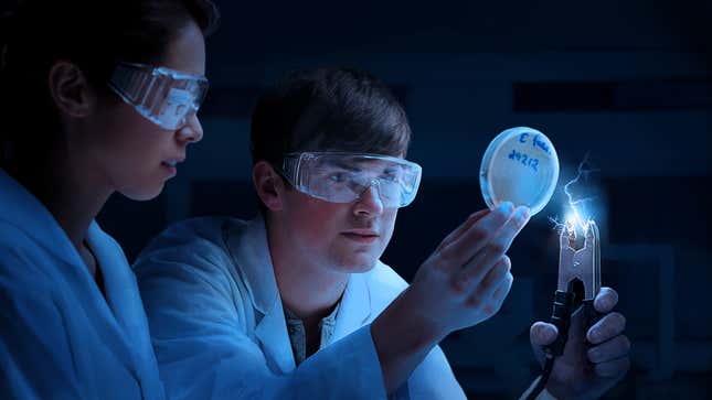 Image for article titled Biologists Torture Amoeba For Information On Where Life Came From