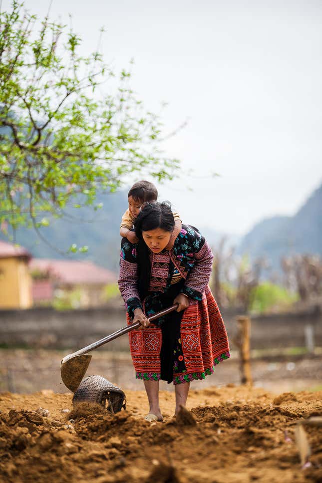 A Hmong farmer.