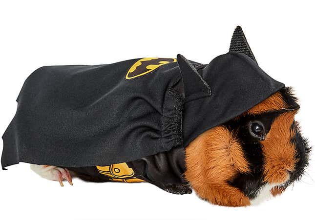 small pets batman costume