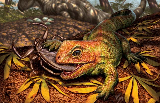 An orange-green lizard eats an insect in this illustration.