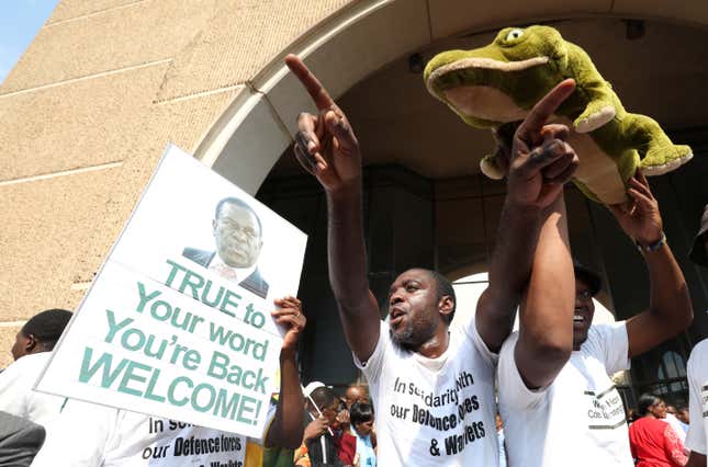 The Crocodile is back!