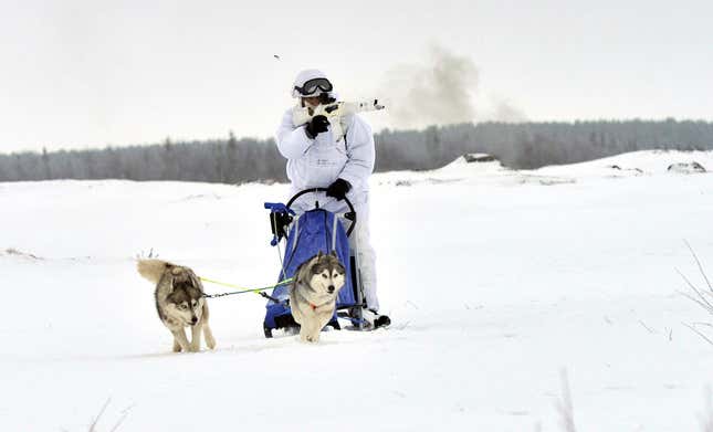 We have mastered armored-canine-vehicular transport.