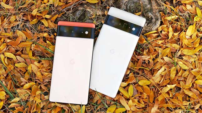 A photo of the Pixel 6 and Pixel 6 Pro 