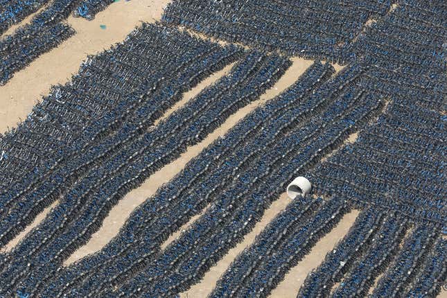 Bluegogo rental bicycles in a Beijing parking lot.