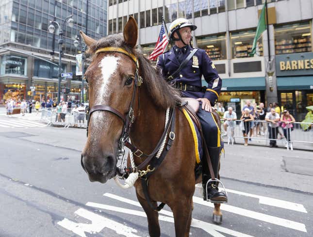Image for article titled Police Horse Unaware That What He Is