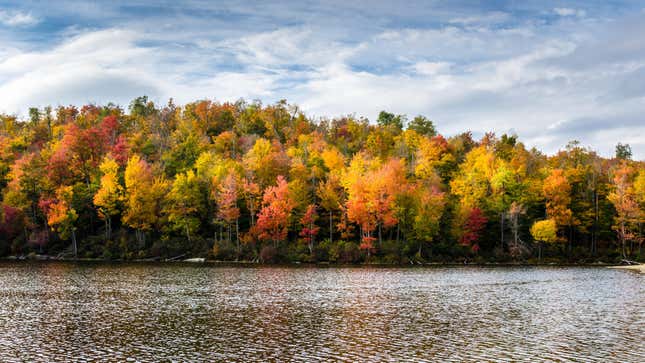 Image for article titled 10 of the Most Stunning Places to See Fall Foliage in the US